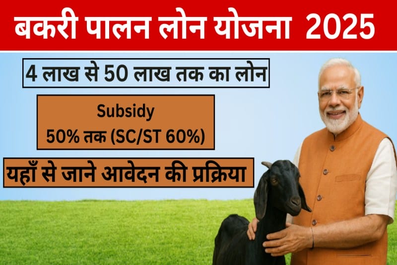Bakri Palan Business Loan 2025: बकरी पालन के लिए 50 लाख तक का लोन, अभी अप्लाई करें!